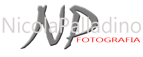 Nicola Palladino